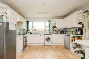 Photo 10- click for photo gallery